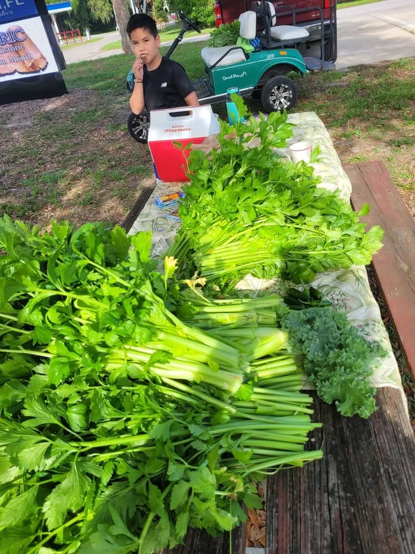 Children planting and learning in the Children's Garden